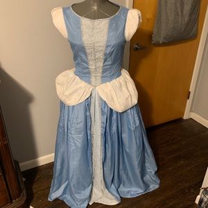 EUC Adult Disney Classic Cinderella Costume